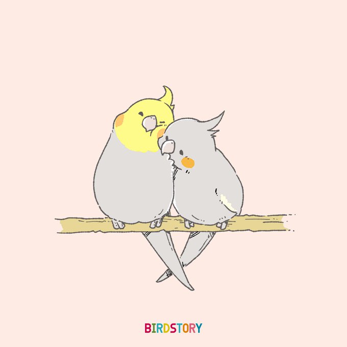 おはようございます 本日は6月12日 恋人の日とのことです Birdsto Birdstoryのイラスト